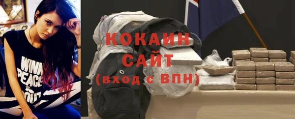 сатива Богородск