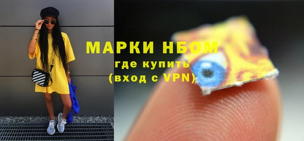 сатива Богородск