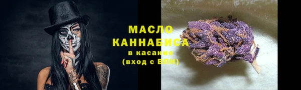 эйфоретик Бородино