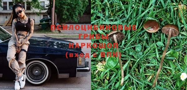 сатива Богородск
