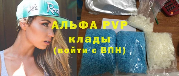 эйфоретик Бородино