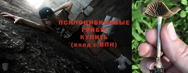 эйфоретик Бородино