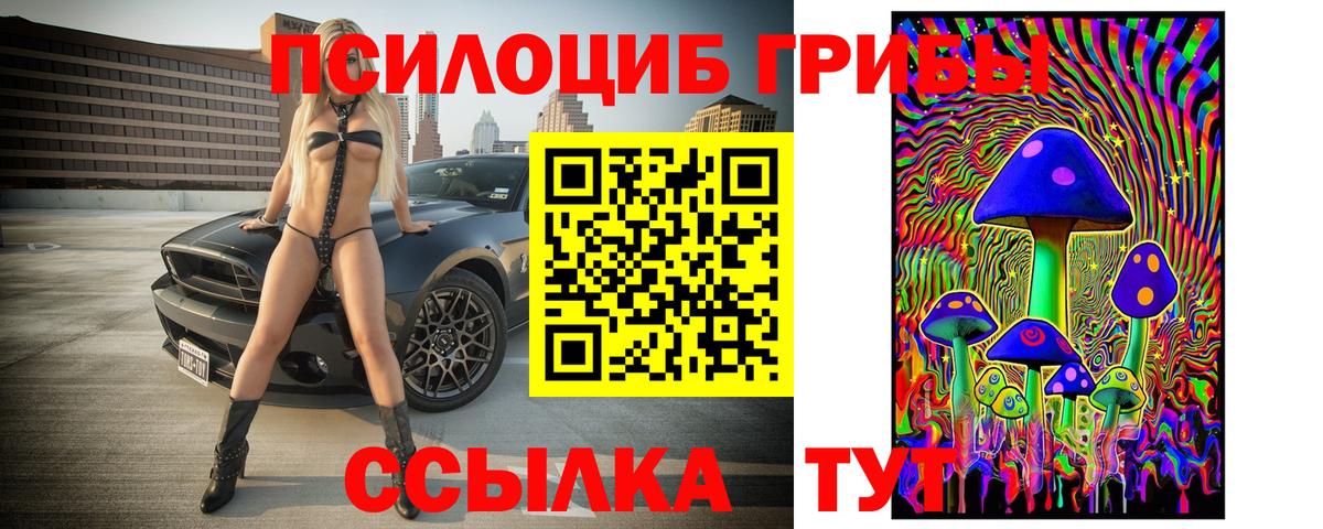 Наро-Фоминск  Галлюциногенные грибы GOLDEN TEACHER  Вход с VPN 